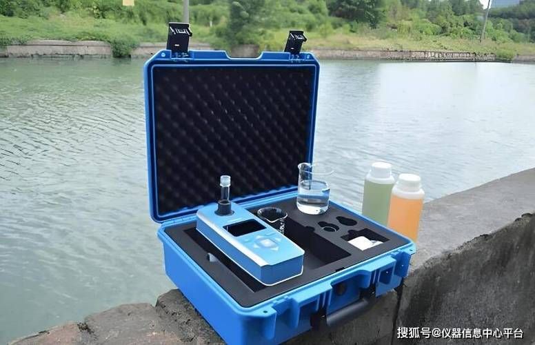 銀龍魚的飼養技巧有哪些？，銀龍魚的飼養技巧