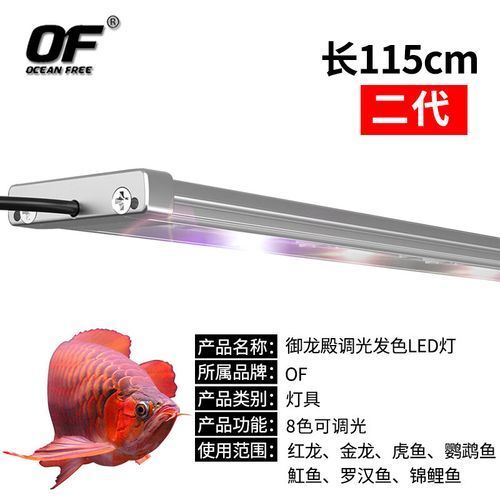 如何選擇適合紅龍魚的專業水族燈，如何選擇一款適合紅龍魚的專業水族燈