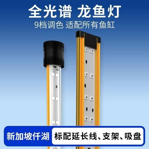 如何選擇適合紅龍魚的專業水族燈，如何選擇一款適合紅龍魚的專業水族燈