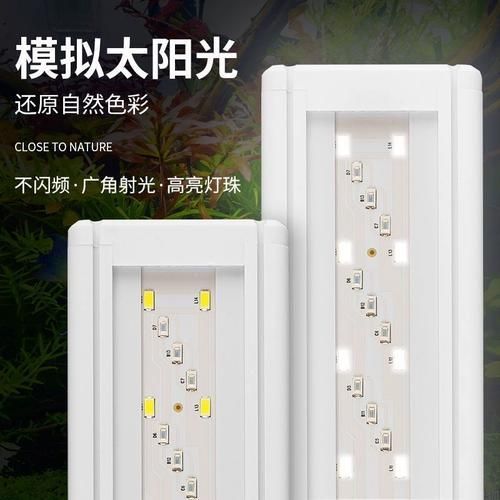 如何選擇適合紅龍魚的專業水族燈，如何選擇一款適合紅龍魚的專業水族燈