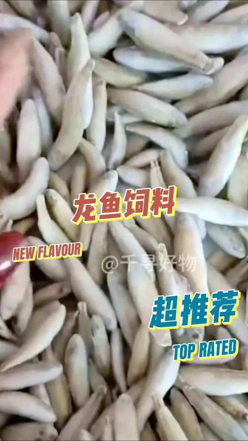 如何判斷龍魚是否適合投喂沉底飼料？，如何判斷龍魚是否適合投喂沉底飼料