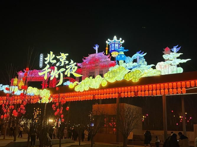 北京龍魚(yú)燈照有哪些特色活動(dòng)，北京龍魚(yú)燈照有哪些特色活動(dòng)思考完成全網(wǎng)30篇資料
