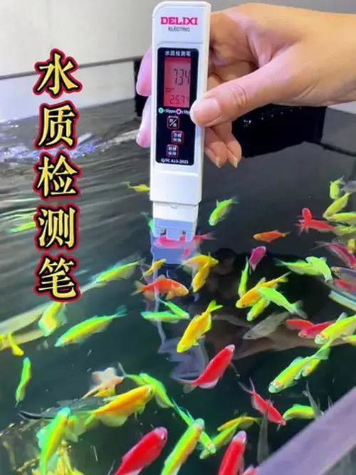 如何改善魚缸水質以預防魚眼凹陷？，—機制—預防魚眼凹陷的成因與水質改善全鏈條