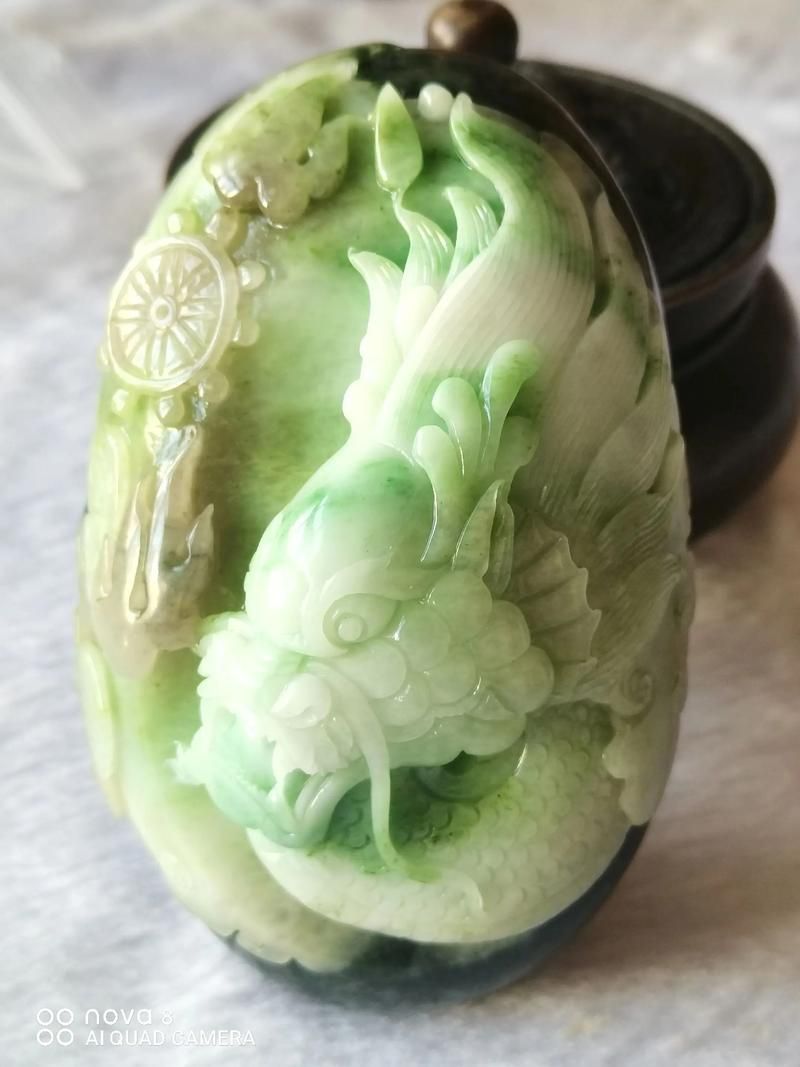 獨(dú)山龍魚和普通紅龍魚哪個更珍貴，獨(dú)山龍魚和普通紅龍魚哪個更珍貴，