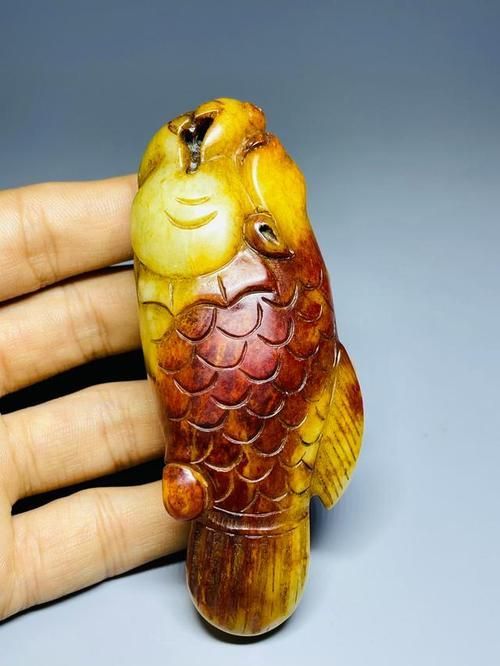 獨(dú)山龍魚和普通紅龍魚哪個更珍貴，獨(dú)山龍魚和普通紅龍魚哪個更珍貴，
