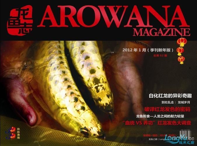 龍魚專刊最新一期2024年在哪里可以觀看？，“龍魚專刊”2024年最新一期2024年在哪里可以觀看