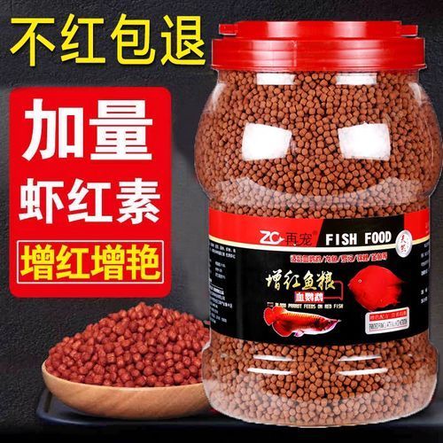 紅龍魚飼料選擇，紅龍魚飼料哪個品牌最好
