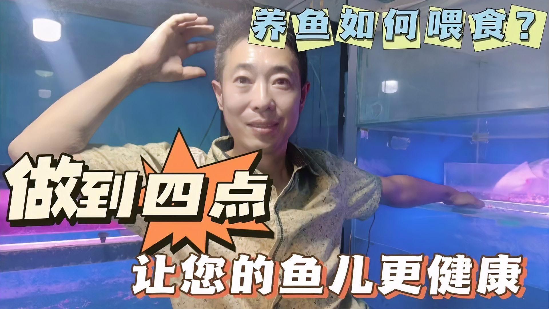 觀賞魚一次喂多少合適？，觀賞魚一次喂多少合適