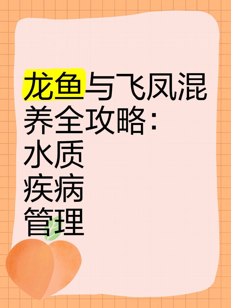 飛鳳魚和龍魚一起養(yǎng)好嗎？，飛鳳魚和龍魚一起養(yǎng)好嗎