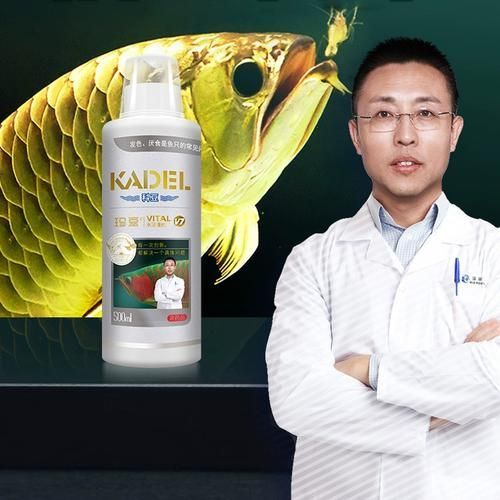 有哪些藥物可以預防龍魚趴缸？，觀賞魚藥物預防龍魚趴缸的預防藥物類別及使用方案