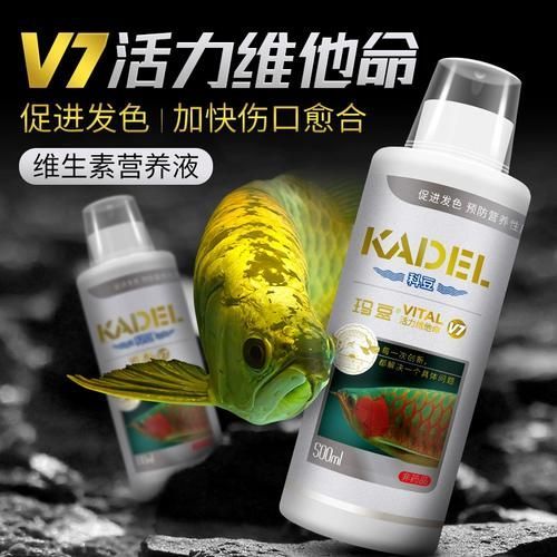 有哪些藥物可以預防龍魚趴缸？，觀賞魚藥物預防龍魚趴缸的預防藥物類別及使用方案