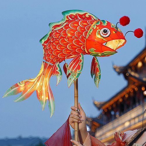 西寧龍魚文化協會的主要活動有哪些？，關于西寧龍魚文化協會