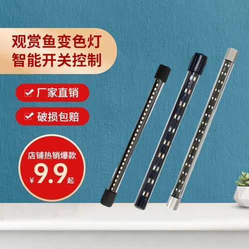 哪種類型的龍魚燈性價比最高？，哪種類型的龍魚燈性價比最高