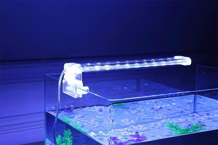 如何聯(lián)系祥龍魚場(chǎng)購(gòu)買水族燈？