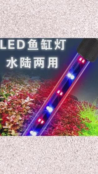 如何聯系祥龍魚場購買水族燈？