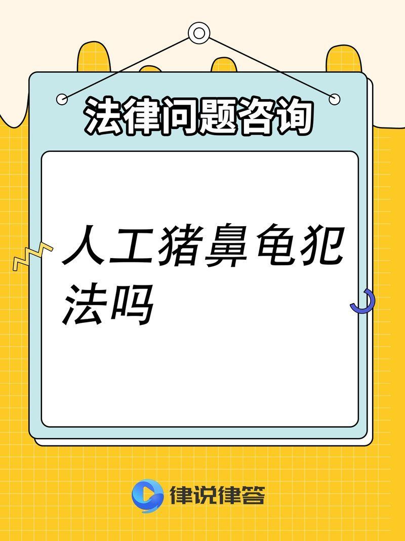 如何合法飼養(yǎng)豬鼻龜？，如何合法飼養(yǎng)豬鼻龜