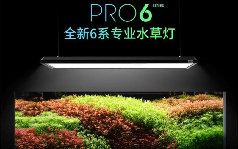 有哪些品牌的水族燈推薦？，有哪些品牌的水族燈值得入手？