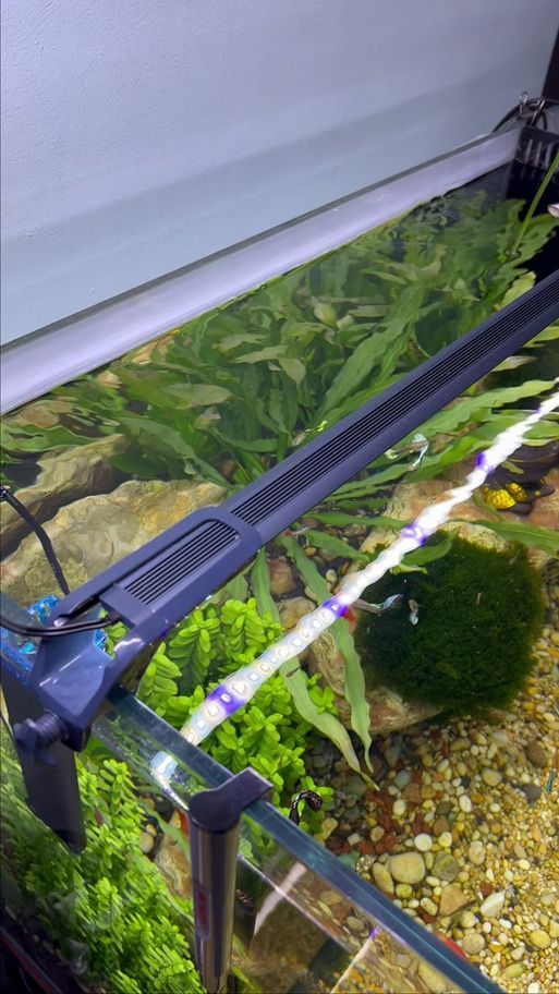 有哪些品牌的水族燈推薦？，有哪些品牌的水族燈值得入手？