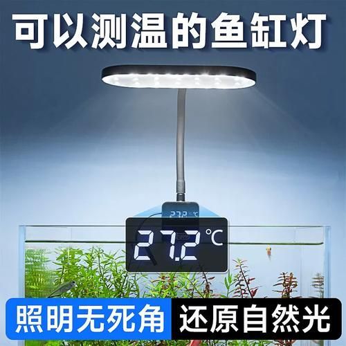 有哪些品牌的水族燈推薦？，有哪些品牌的水族燈值得入手？