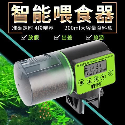 詳解（1000字和配圖）龍魚一次應該喂多少小魚？，龍魚一次喂多少小魚