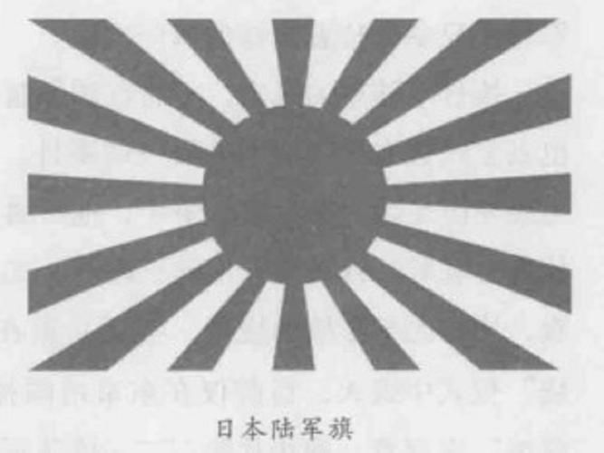 黑龍旗與其他旗幟的區(qū)別，“黑龍旗”與其他旗幟的區(qū)別