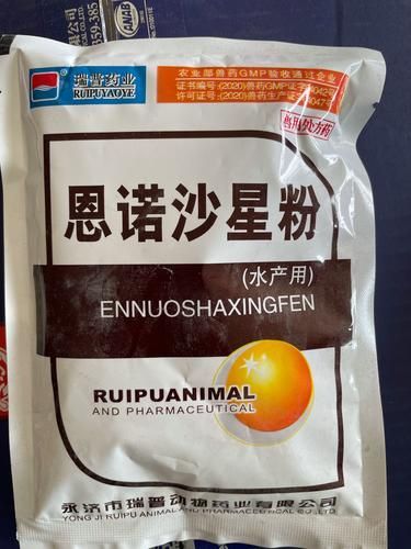 有哪些藥物可以有效治療龍魚細菌交叉感染？，關于龍魚細菌交叉感染