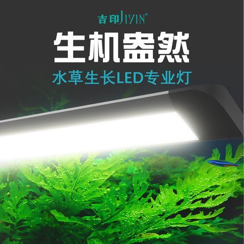 吉印水族的燈具有哪些型號(hào)可選，吉印水族燈具有哪些型號(hào)