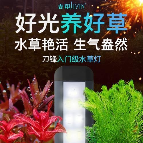 吉印水族的燈具有哪些型號(hào)可選，吉印水族燈具有哪些型號(hào)