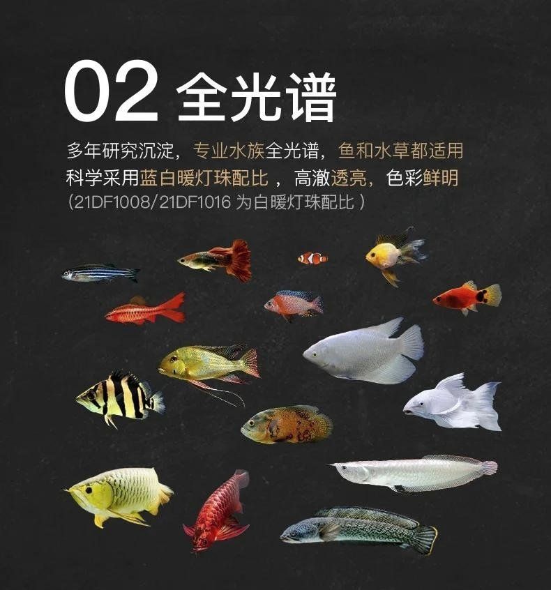 吉印水族的燈具有哪些型號(hào)可選，吉印水族燈具有哪些型號(hào)