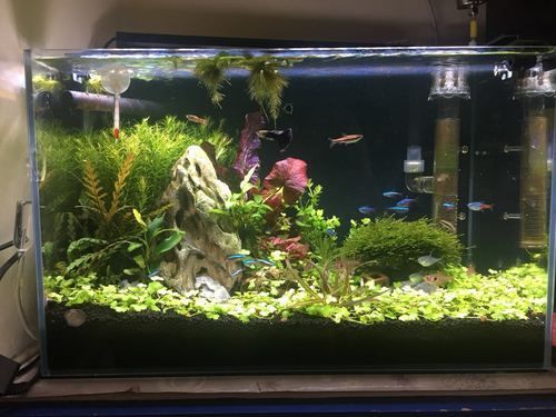 吉印水族的燈具有哪些型號(hào)可選，吉印水族燈具有哪些型號(hào)