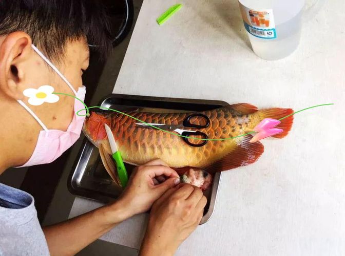 能否提供泰寧龍魚養殖環境的圖片，關于泰寧龍魚養殖環境的詳細介紹