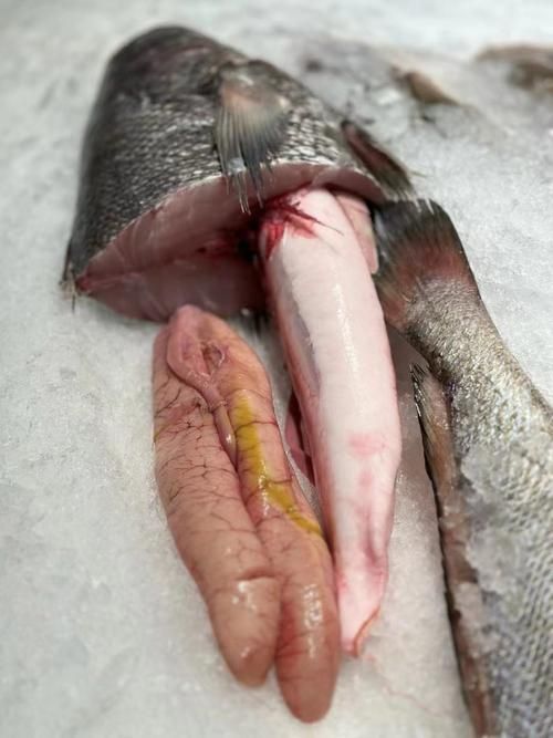 如何判斷魚(yú)呼吸急促的原因