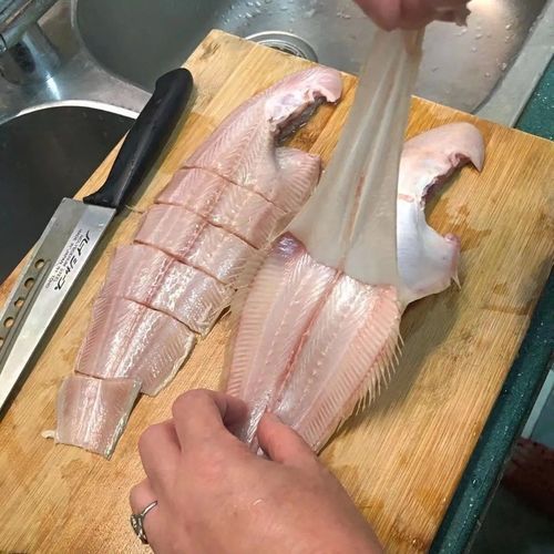 如何判斷魚(yú)呼吸急促的原因