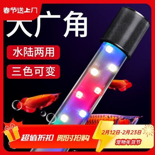 給我推薦一些龍魚燈的品牌，馬印馬印神燈龍魚燈品牌龍魚燈品牌馬印神燈plus