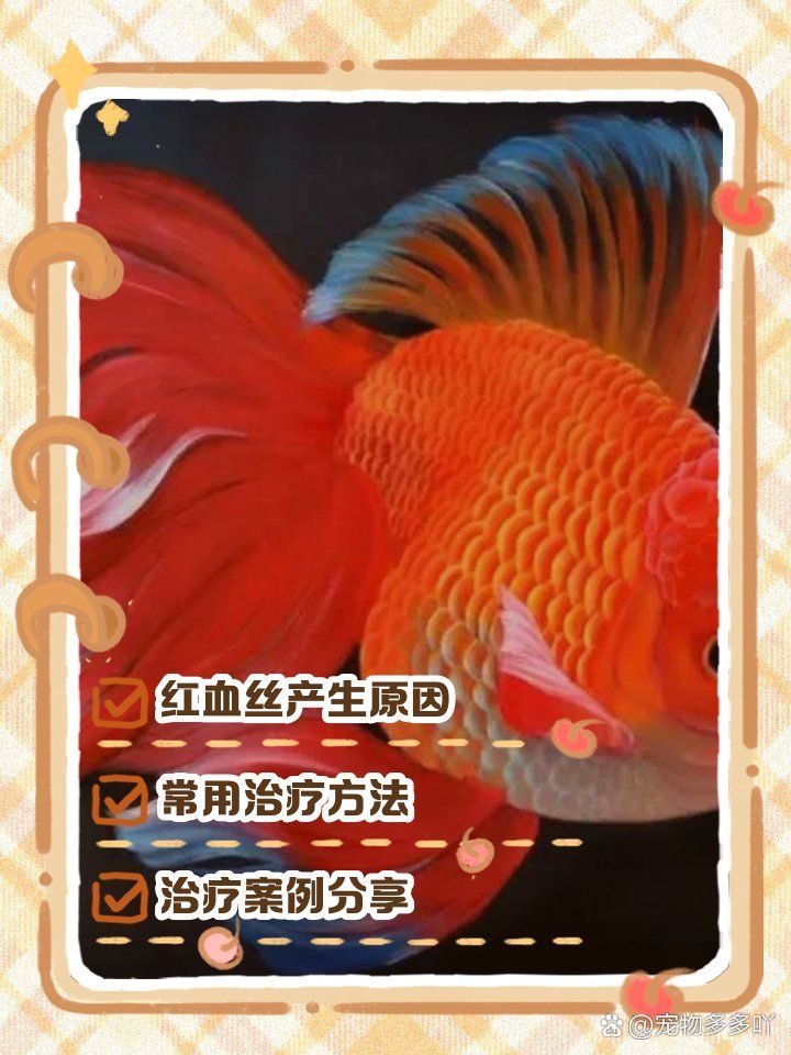 如何預防魚尾巴發紅有紅血絲，魚尾巴發紅有紅血絲可能是由多種原因引起的