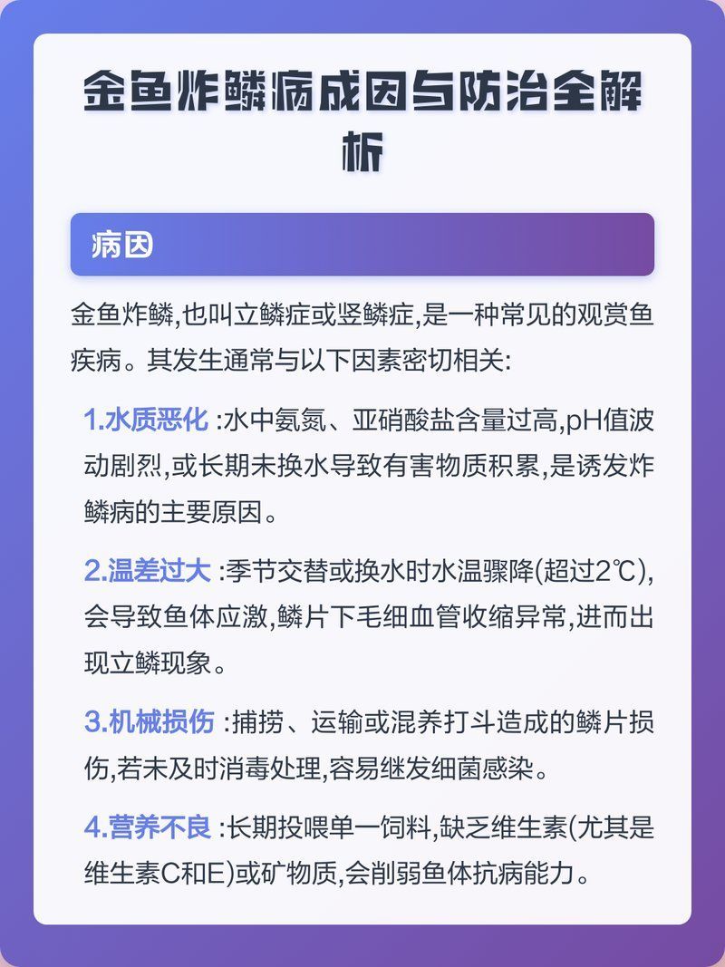 如何預防金魚炸鱗復發