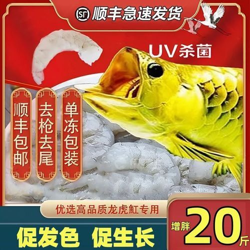 有哪些龍魚品種的吃食視頻?,關于龍魚的知識 龍魚百科 第6張 有哪些龍魚品種的吃食視頻?,關于龍魚的知識 有哪些龍魚品種的吃食視頻?,關于龍魚的知識 龍魚百科 第6張