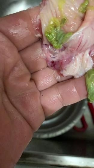 有哪些龍魚品種的吃食視頻？，關于龍魚的知識 有哪些龍魚品種的吃食視頻？，關于龍魚的知識 龍魚百科 第7張