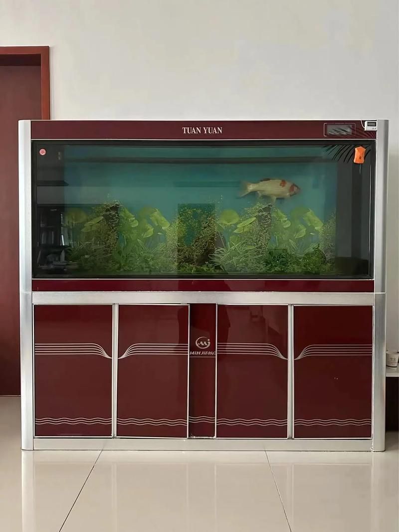 龍魚五大品牌魚缸有哪些特點(diǎn)？，龍魚五大品牌特點(diǎn)