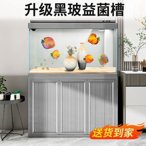 龍魚五大品牌魚缸有哪些特點(diǎn)？，龍魚五大品牌特點(diǎn)