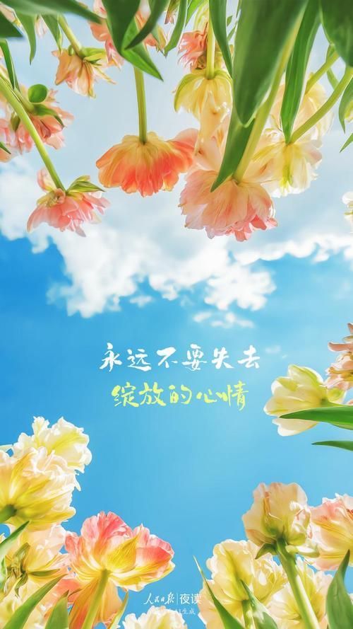 推薦一些適合手機的這款壁紙，四類高質感手機壁紙推薦，適合現代人日常使用的壁紙