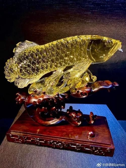 龍魚飾品有哪些款式選擇，龍魚飾品有哪些款式豐富多樣，龍魚飾品有哪些款式選擇