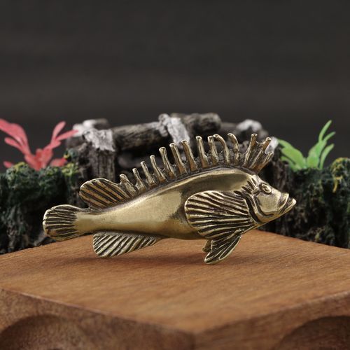 龍魚飾品有哪些款式選擇，龍魚飾品有哪些款式豐富多樣，龍魚飾品有哪些款式選擇