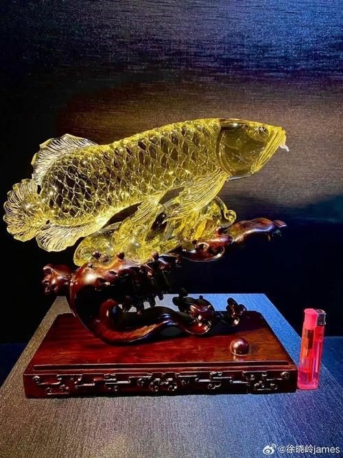 龍魚飾品有哪些款式選擇，龍魚飾品有哪些款式豐富多樣，龍魚飾品有哪些款式選擇