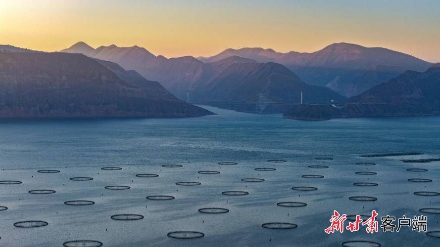 廣河龍魚養殖有哪些成功案例,廣河龍魚養殖業成功案例(如永靖縣、臨夏回族自治州廣河縣) 龍魚百科 第5張 廣河龍魚養殖有哪些成功案例,廣河龍魚養殖業成功案例(如永靖縣、臨夏回族自治州廣河縣) 廣河龍魚養殖有哪些成功案例,廣河龍魚養殖業成功案例(如永靖縣、臨夏回族自治州廣河縣) 龍魚百科 第5張