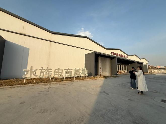 紅龍魚視頻中哪些內容最吸引人，紅龍魚視頻中吸引觀眾的核心