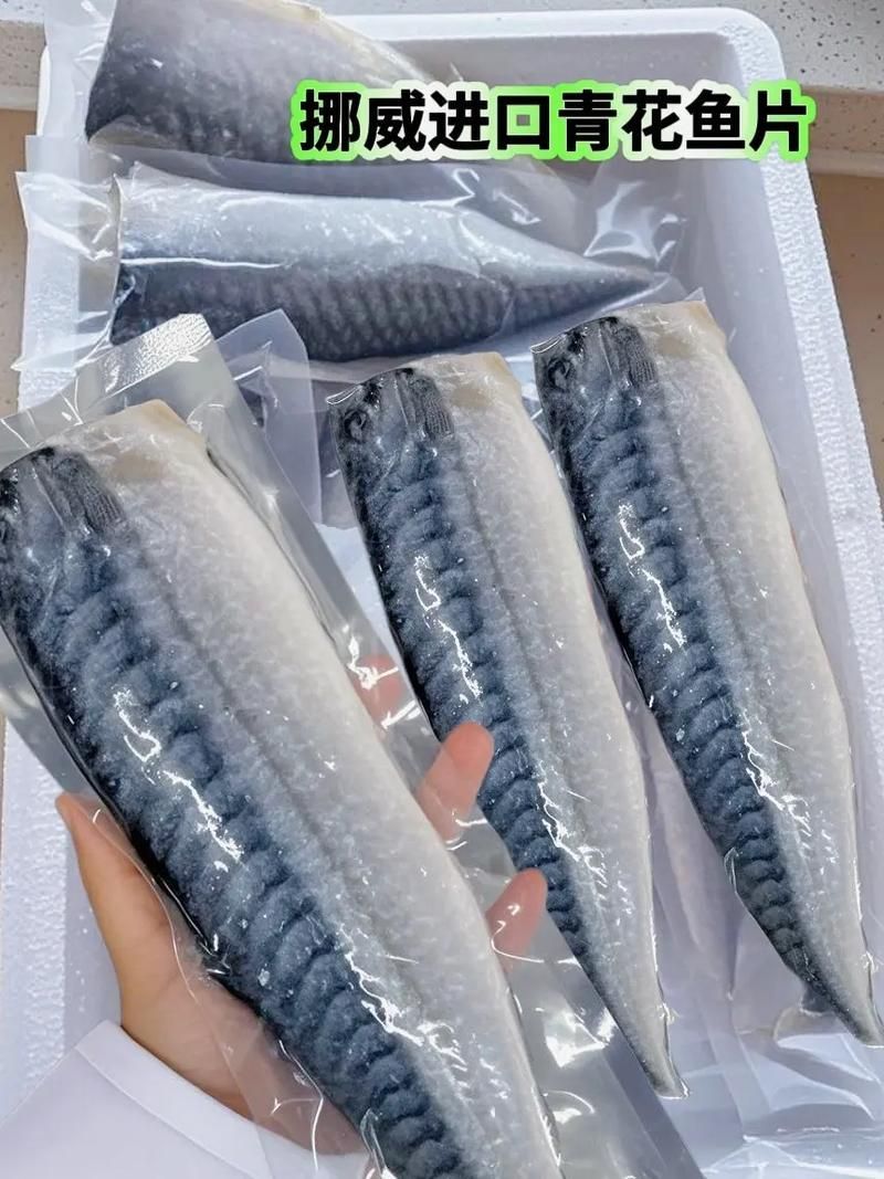 如何鑒別青花龍魚的品相，如何鑒別青花龍魚 如何鑒別青花龍魚的品相，如何鑒別青花龍魚 龍魚百科 第3張