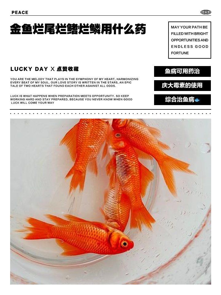 哪種藥物對魚爛尾巴最有效，探討治療魚爛尾巴最有效的治療藥物對魚爛尾巴最有效