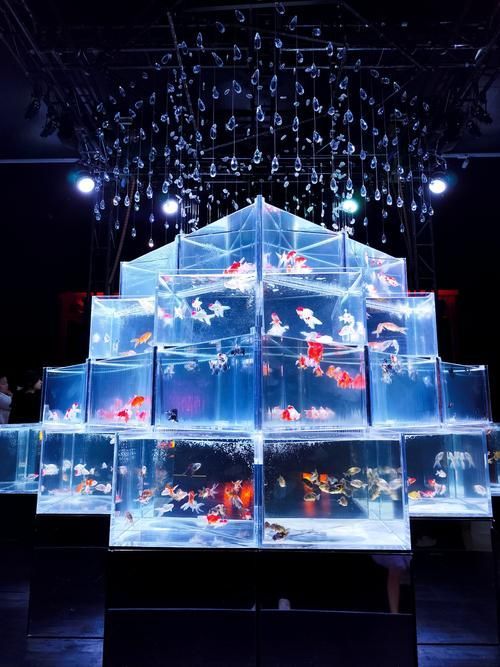 祥龍魚場在展會上有哪些亮點？，關于祥龍魚場在2025年大阪世博會上的亮點