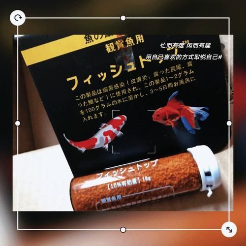 有哪些品牌的龍魚專用藥值得推薦？，哪些品牌的龍魚專用藥值得推薦？